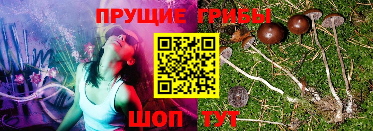 Псилоцибиновые грибы MAGIC MUSHROOMS  Вход с VPN  Кашира 
