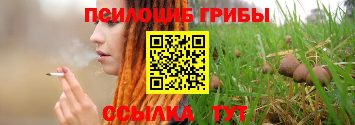 Галлюциногенные грибы GOLDEN TEACHER Кашира